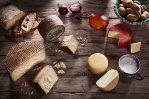 fromages italiens busti